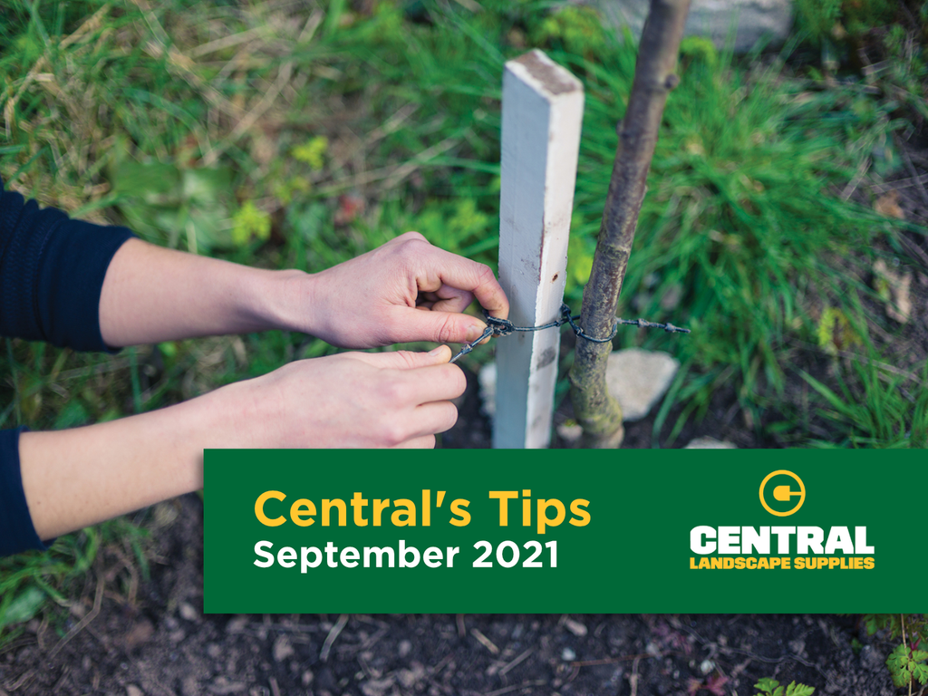 Centrals Tips - September 2021