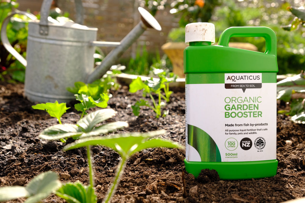 Garden Tips for October