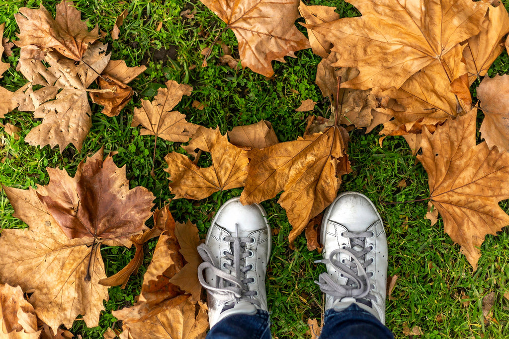 May Garden Guide & Landscaping Tips