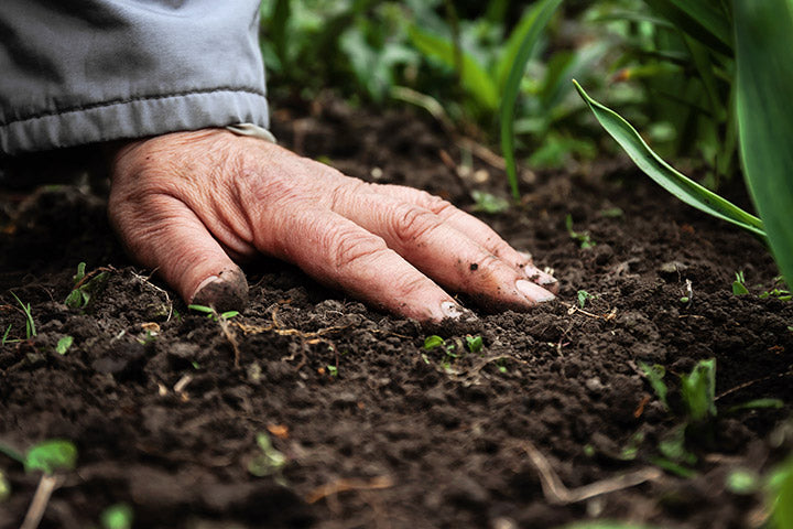 Garden for free at your place