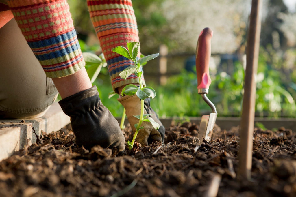 Good soil,  good plants - naturally