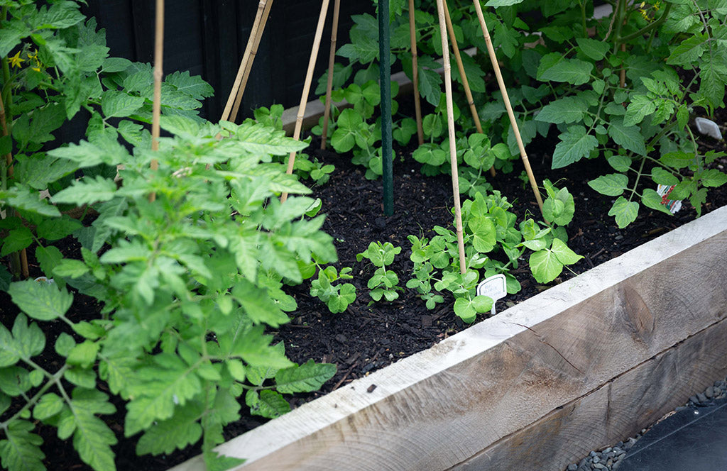 Macrocarpa Sleepers 2100 x 150 x 100mm